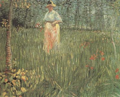 Vincent Van Gogh A Woman Walking in a Garden (nn04)